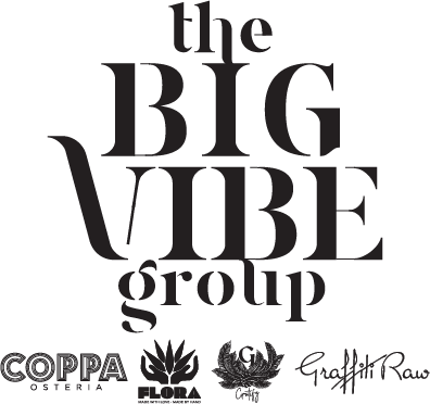 thebigvibegroup